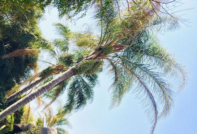 بنسيون Khayamanzi Guesthouse