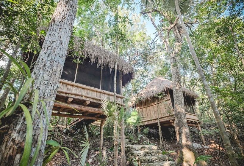 酒店 Wakax Hacienda   Cenote & Boutique