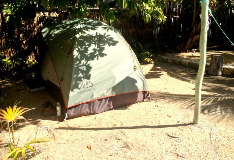 旅馆 Cenote El Encanto