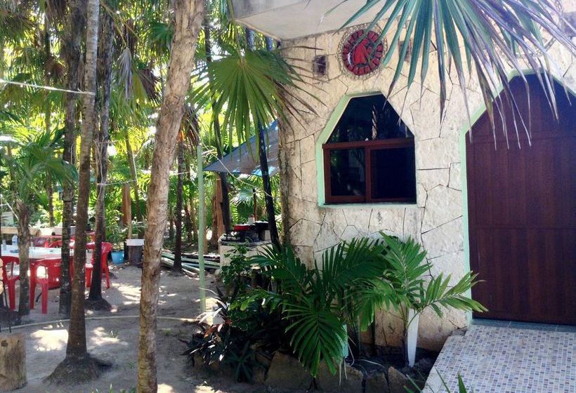 旅馆 Cenote El Encanto