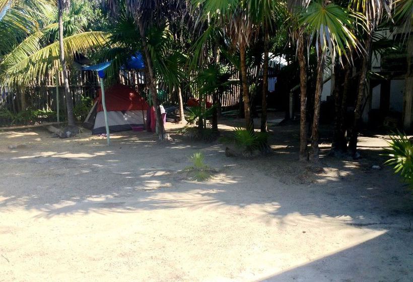 旅馆 Cenote El Encanto