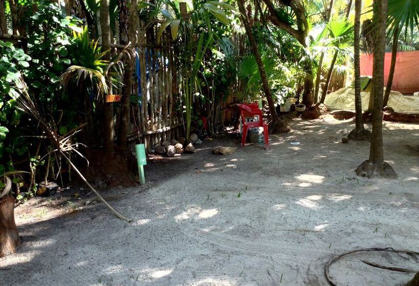 旅馆 Cenote El Encanto