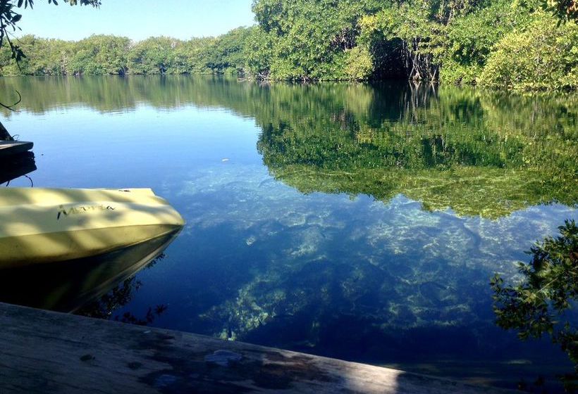 旅馆 Cenote El Encanto