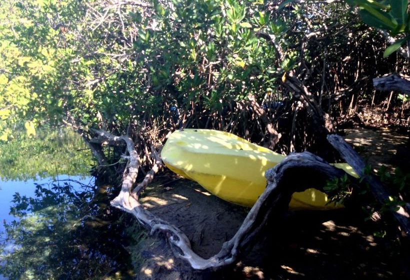 旅馆 Cenote El Encanto