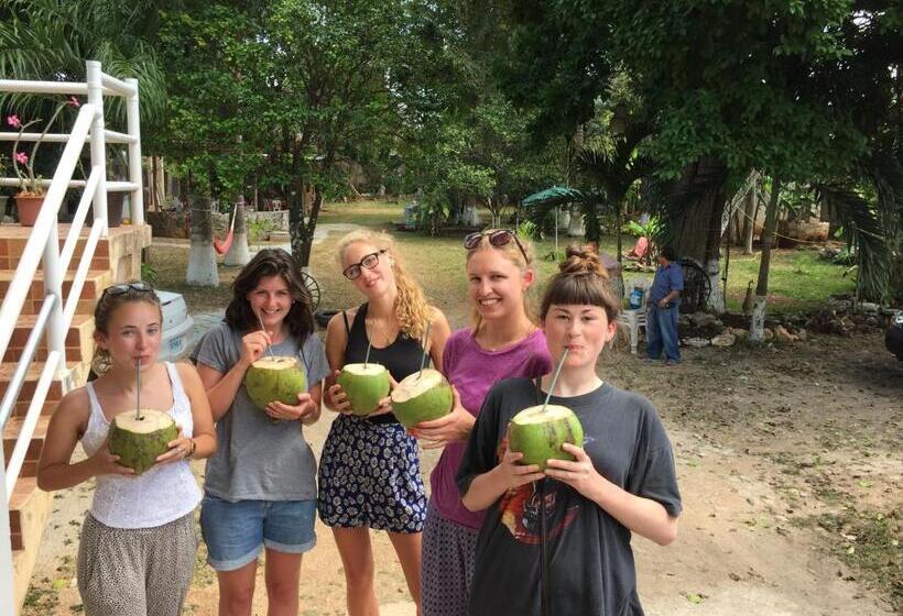 فندق صغير Yaxche Centro Hostal Y Camping