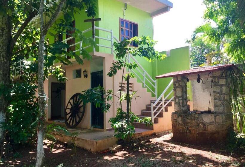 هاستل Yaxche Centro Hostal Y Camping