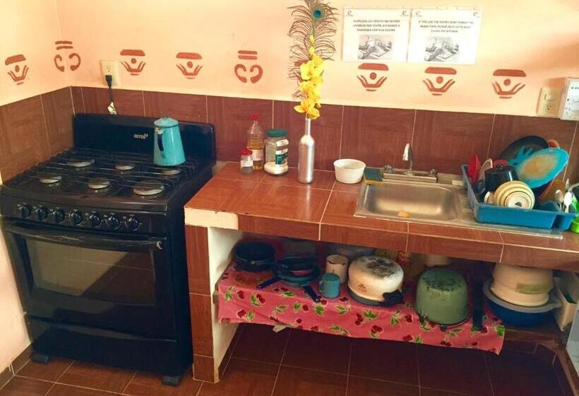 فندق صغير Yaxche Centro Hostal Y Camping