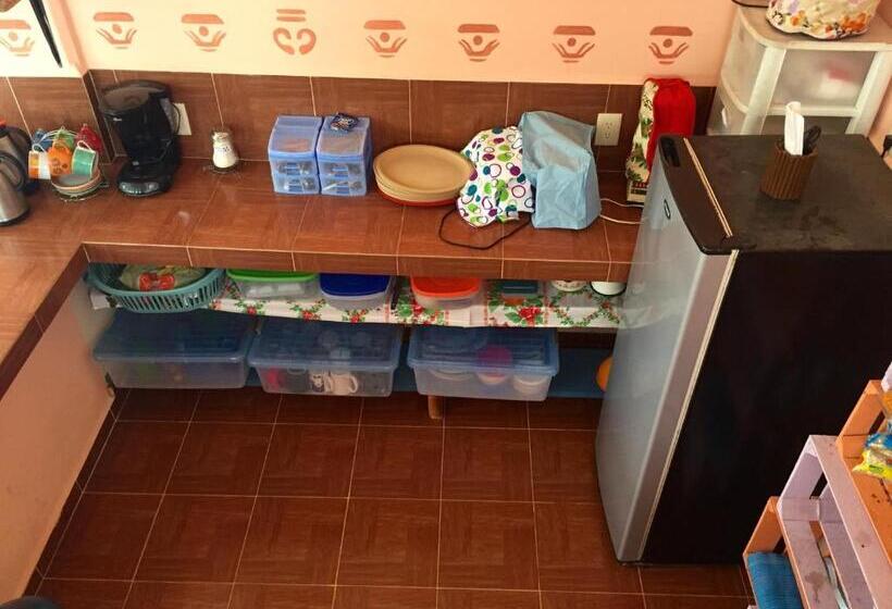 فندق صغير Yaxche Centro Hostal Y Camping