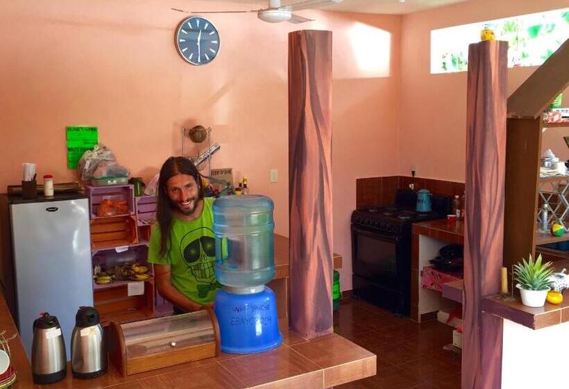 فندق صغير Yaxche Centro Hostal Y Camping