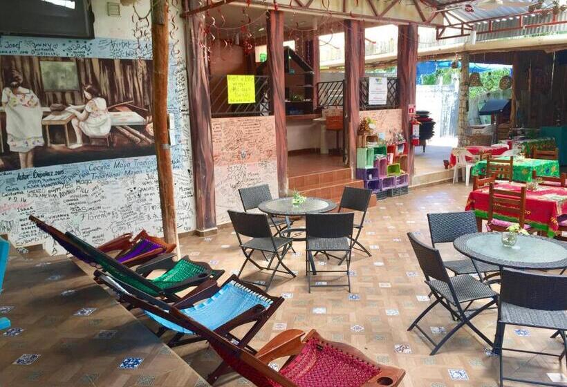 فندق صغير Yaxche Centro Hostal Y Camping