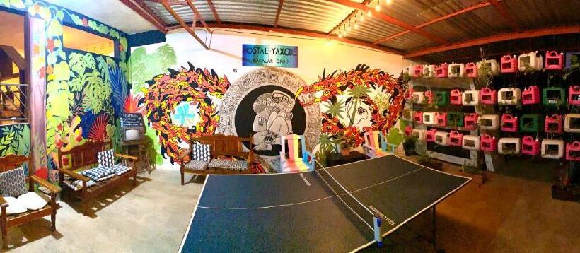 فندق صغير Yaxche Centro Hostal Y Camping