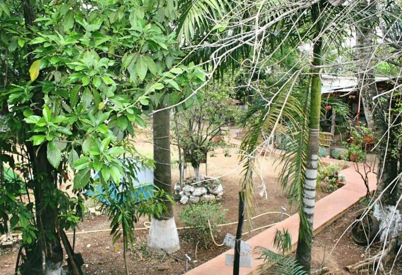 فندق صغير Yaxche Centro Hostal Y Camping