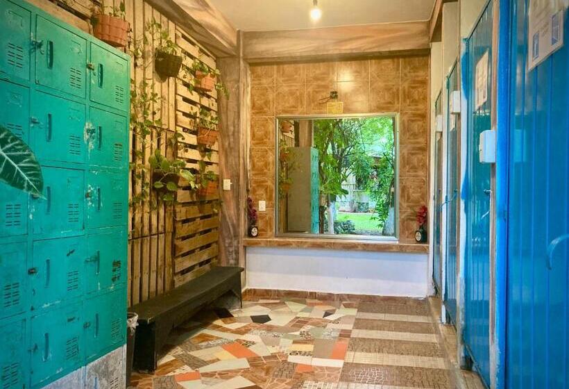 فندق صغير Yaxche Centro Hostal Y Camping