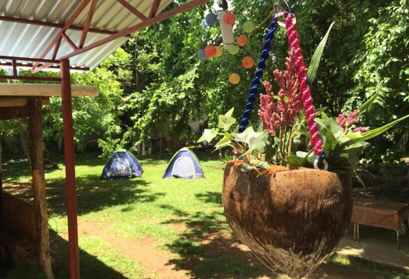 فندق صغير Yaxche Centro Hostal Y Camping