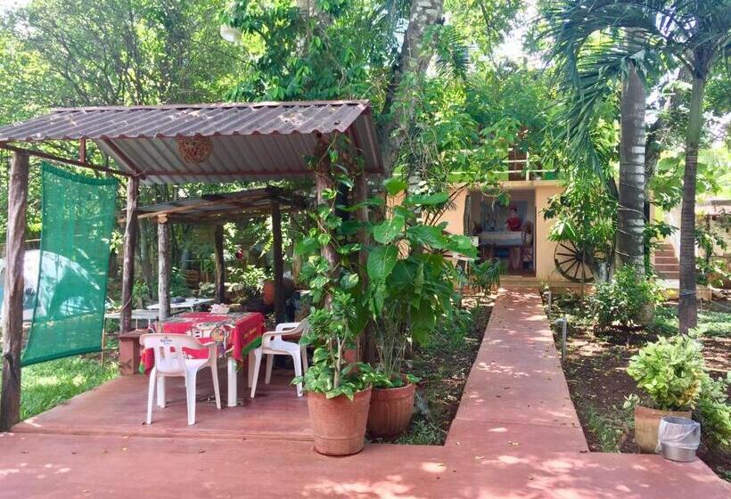 هاستل Yaxche Centro Hostal Y Camping