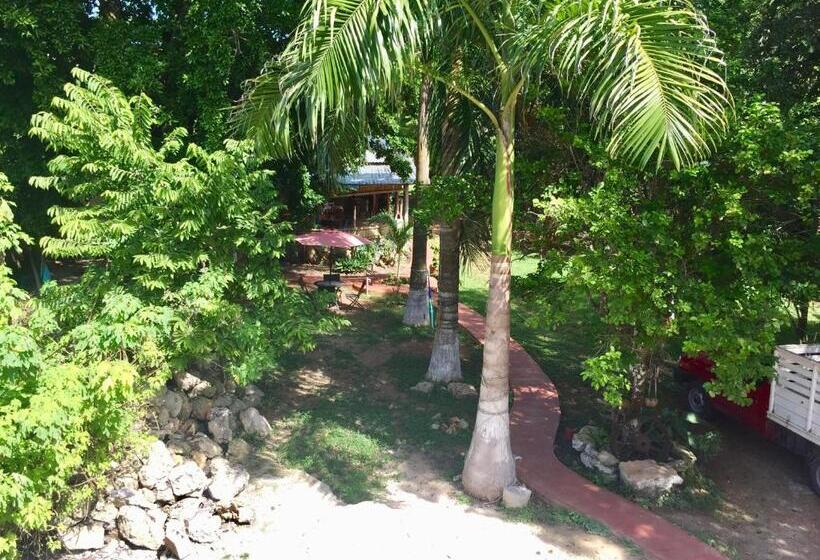 فندق صغير Yaxche Centro Hostal Y Camping