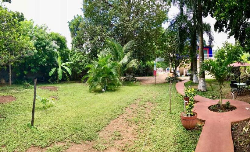 فندق صغير Yaxche Centro Hostal Y Camping