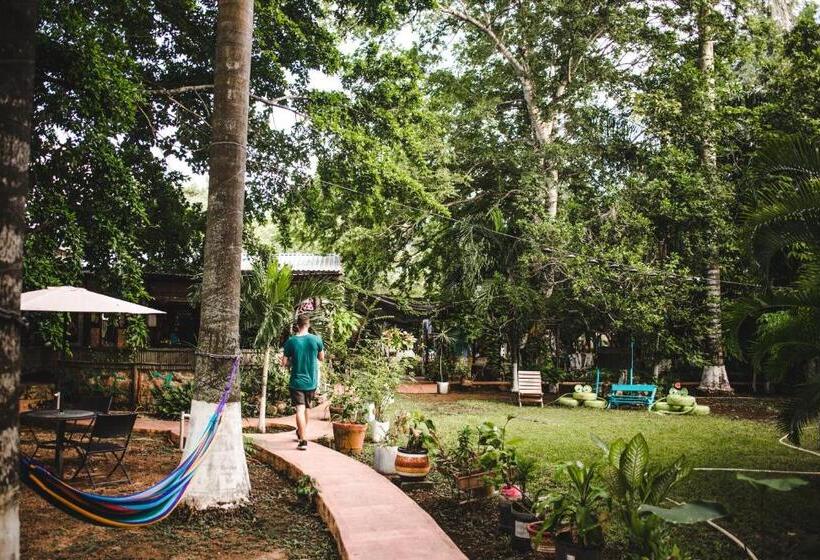 هاستل Yaxche Centro Hostal Y Camping