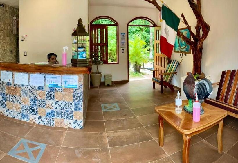 فندق صغير Yaxche Centro Hostal Y Camping