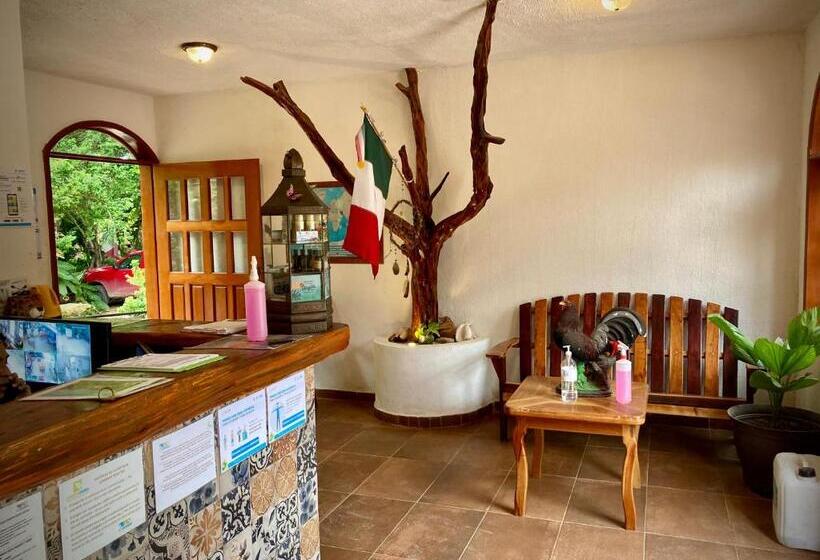 هاستل Yaxche Centro Hostal Y Camping