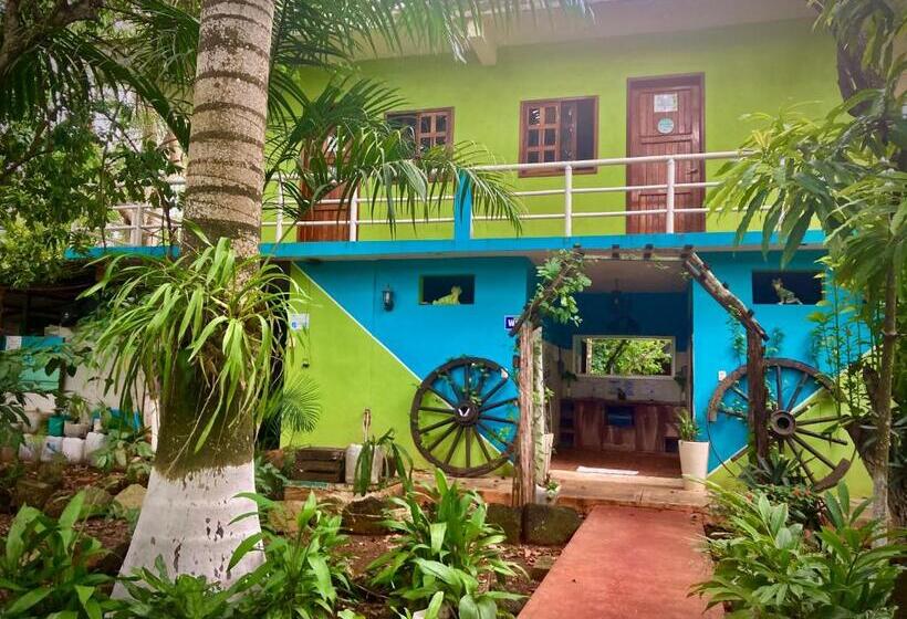 هاستل Yaxche Centro Hostal Y Camping