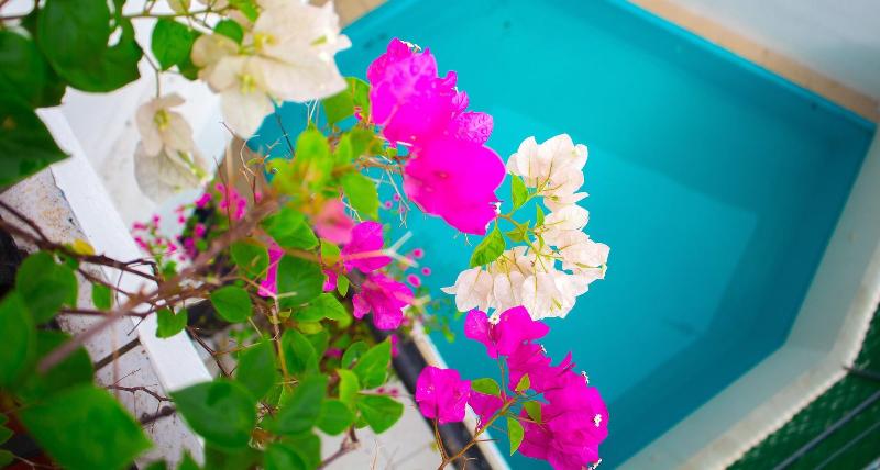 Am Amakal Hotel & Park