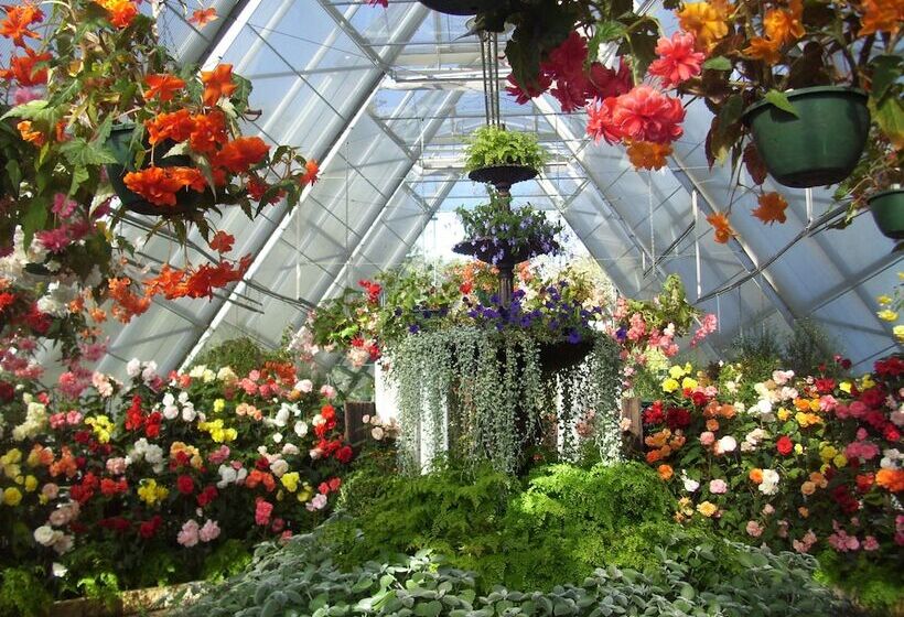 Ballarat Tranquility Cottages