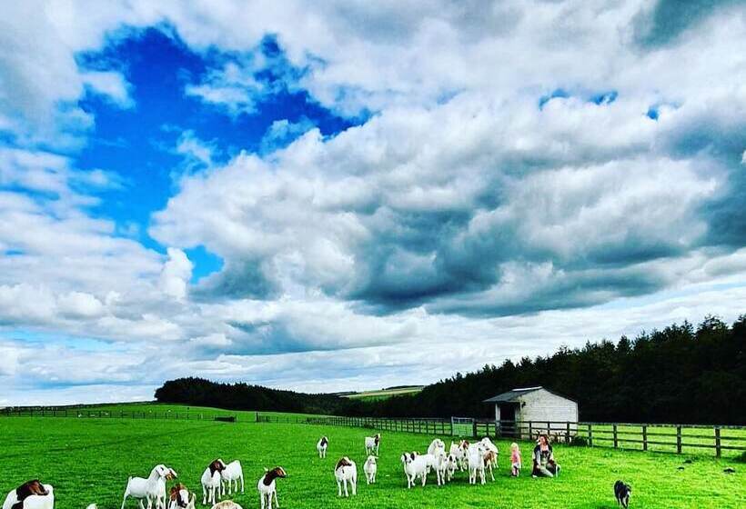 مبيت وإفطار High Paradise Farm