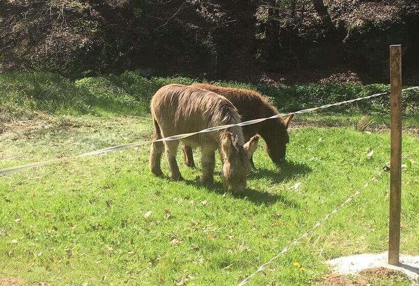 住宿加早餐  Domaine Du Moulin