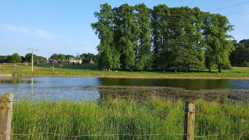 민박 Parkhead House