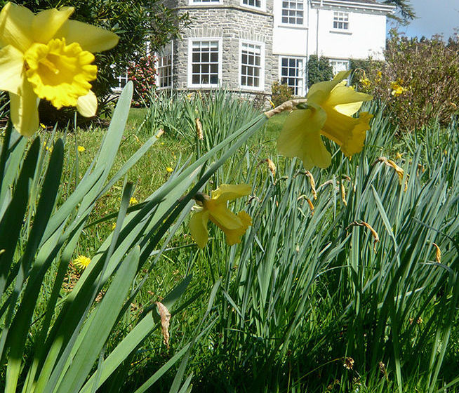 민박 The Old Vicarage