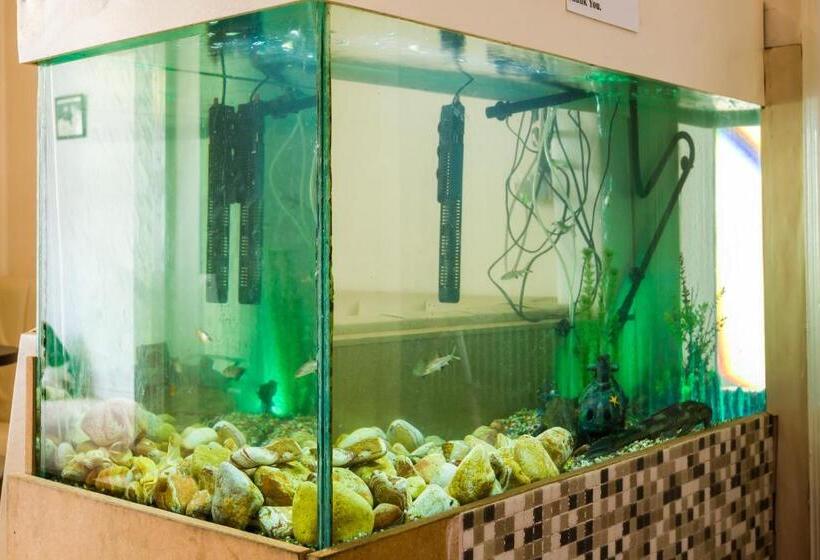 مبيت وإفطار Uk Travel & Hospitality Ltd Ta Canberra