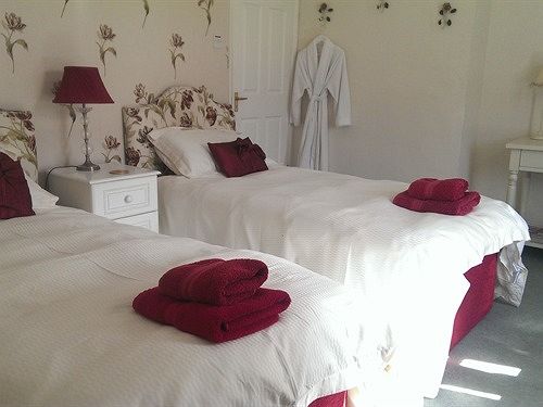 مبيت وإفطار Wilmot House