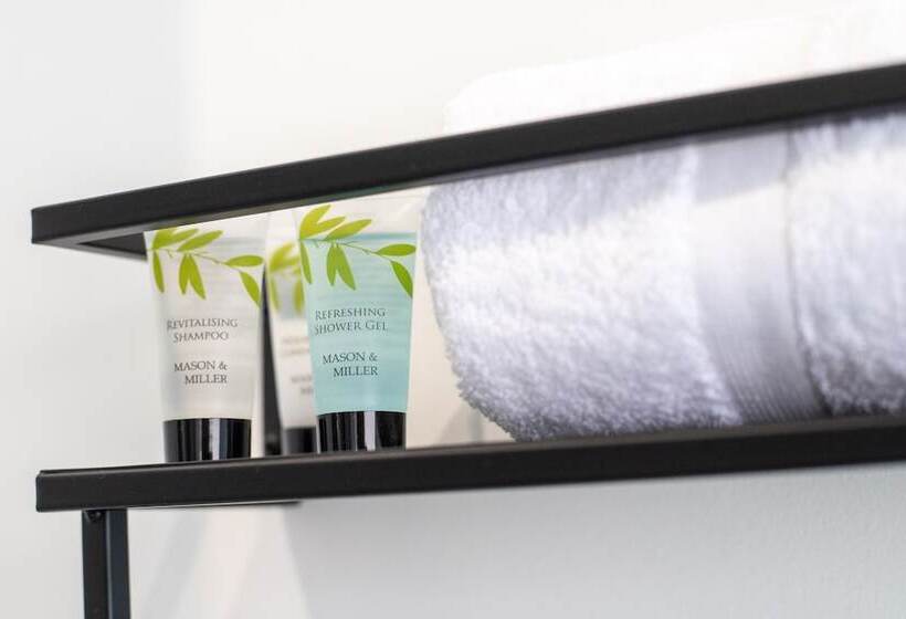 בית מלון כפרי Black Lion