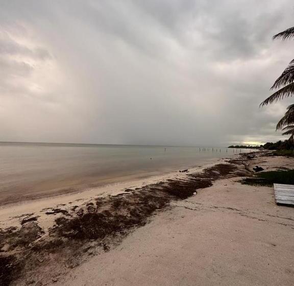 Отель Arenas Mahahual