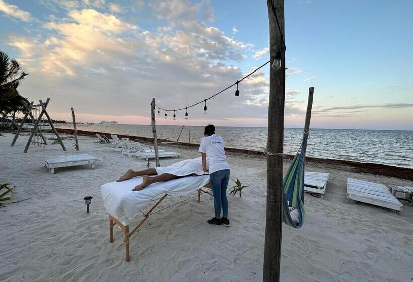 فندق Arenas Mahahual