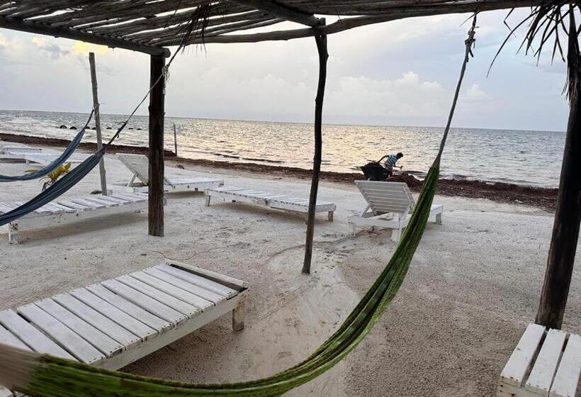 فندق Arenas Mahahual