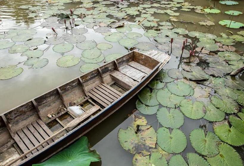 فندق Ayutthaya Retreat