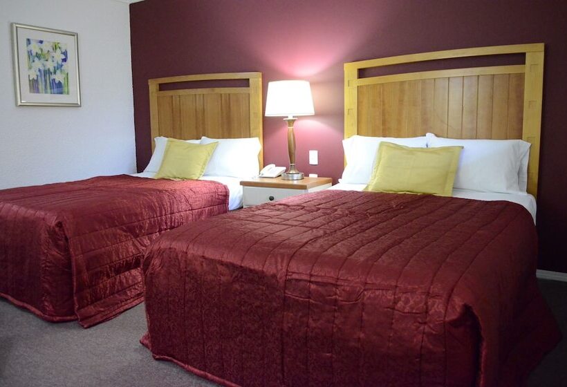 酒店 Azteca De Oro Mexicali