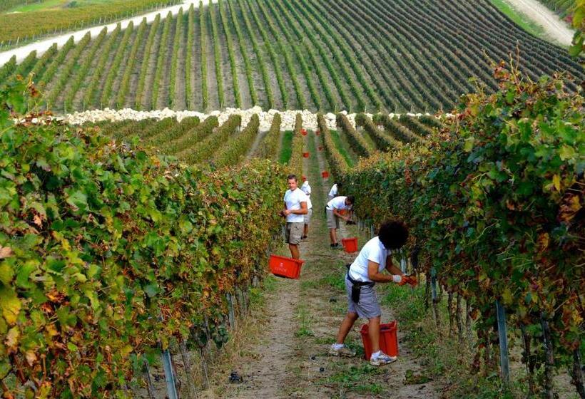 호텔 Borgo Conde Wine Resort