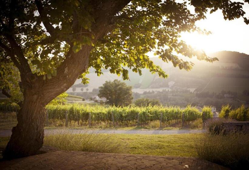 호텔 Borgo Conde Wine Resort