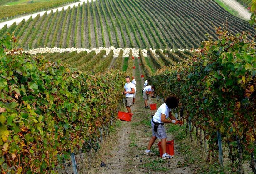 호텔 Borgo Conde Wine Resort