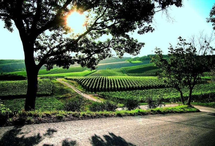 호텔 Borgo Conde Wine Resort