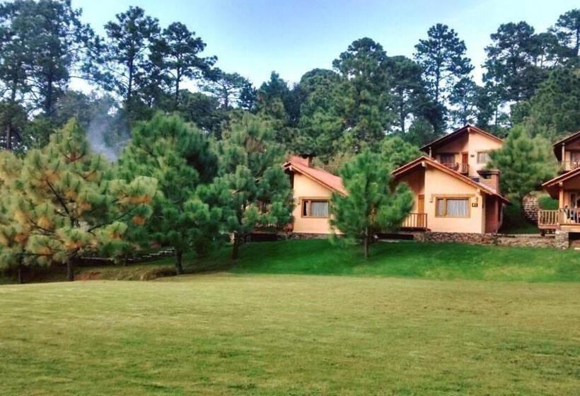 Отель Bosque Escondido