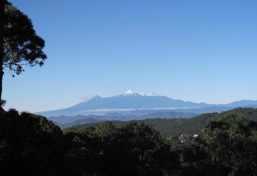 Отель Bosque Escondido