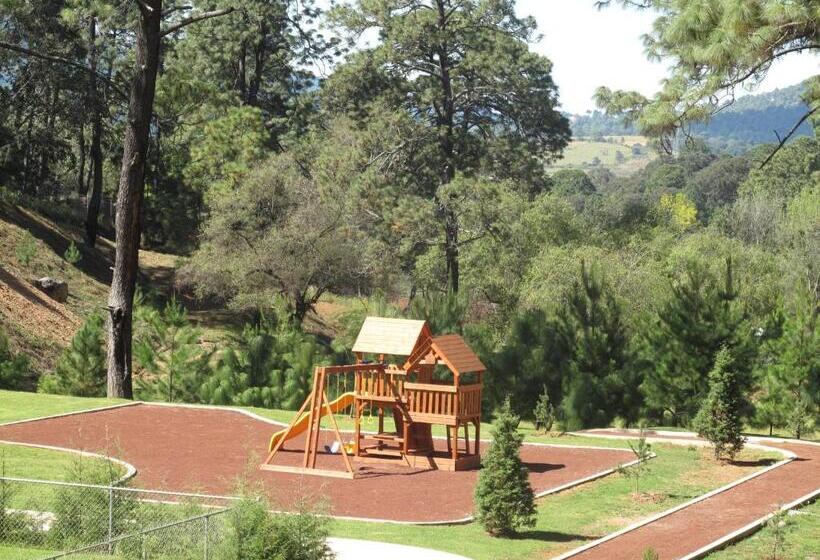 Отель Bosque Escondido