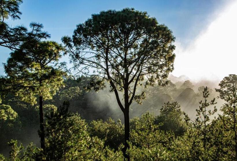 Отель Bosque Escondido