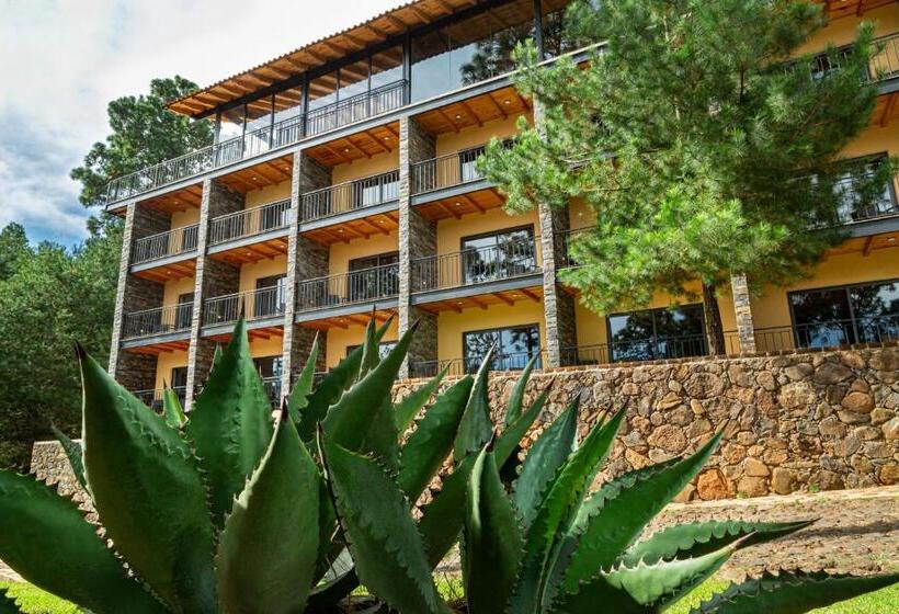 Отель Bosque Escondido