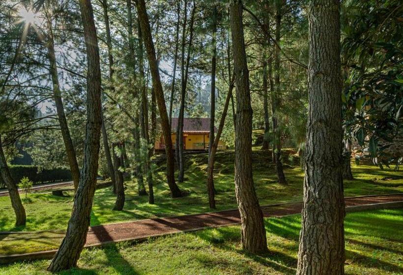 Отель Bosque Escondido