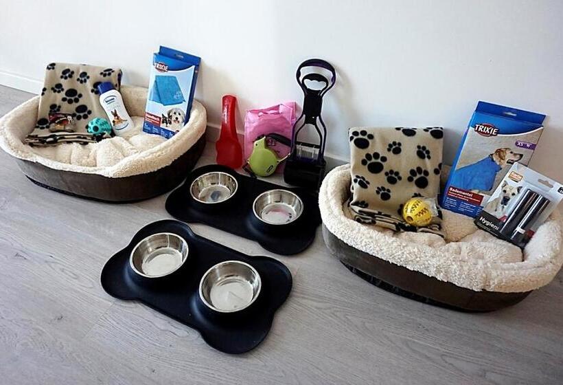 Отель Boutique Minister 4sup